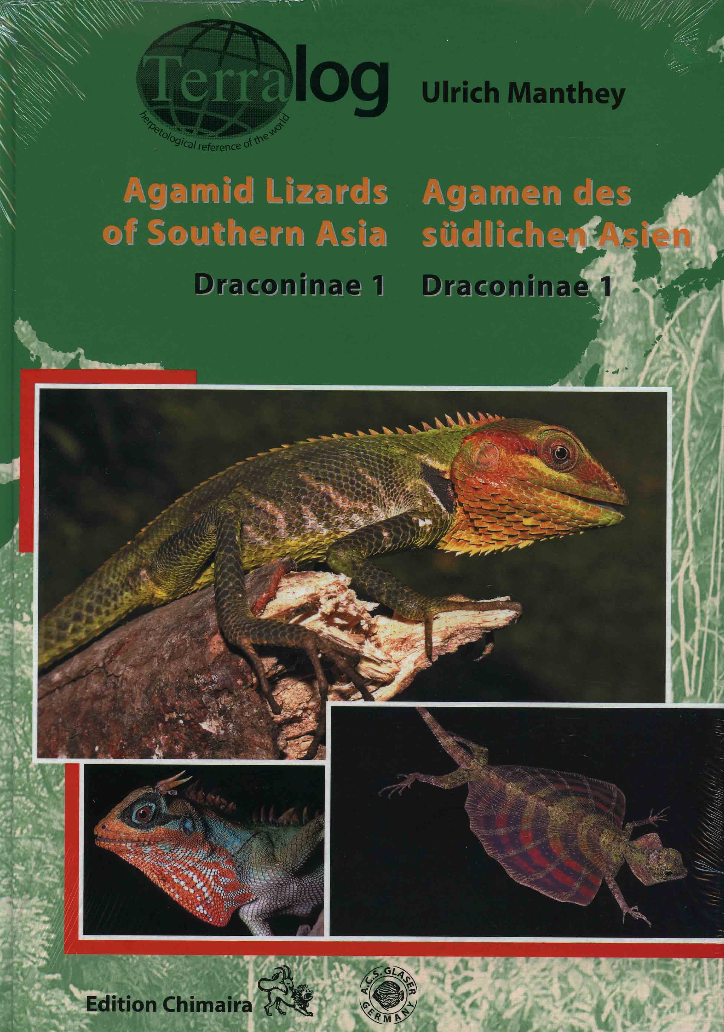 Image for Agamid Lizards of Southern Asia: Draconinae 1,